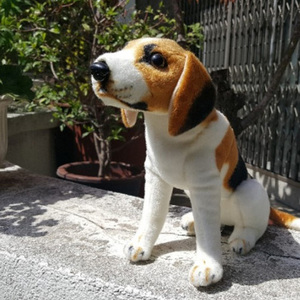 진짜같은 시팅 귀여운 비글 강아지 인형 30cm(애견/개)/ 어린이날 선물