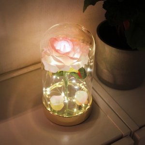 네모네 - 골드 쁘띠 핑크 로즈 LED 조명/무드등